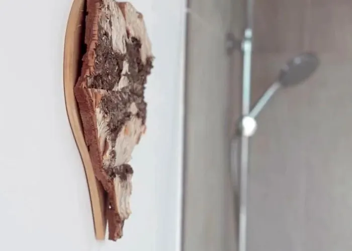 Casa Calma Apartment